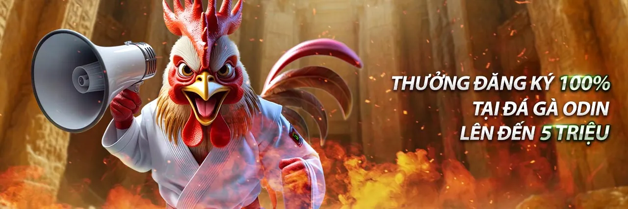 Hình ảnh đại diện cho chính sách bảo vệ dữ liệu và quyền riêng tư GDPR của bl555a đăng nhập