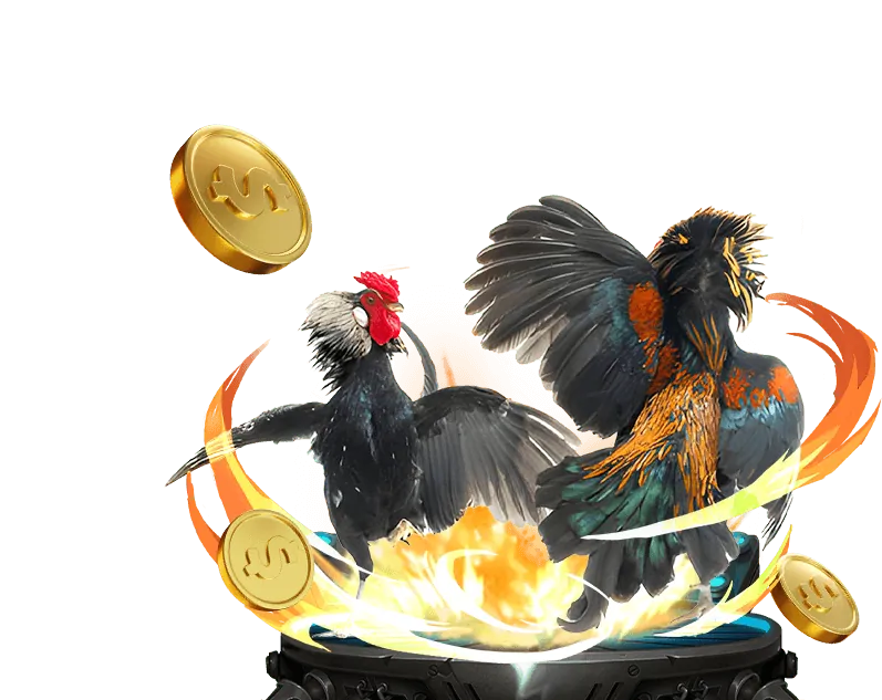 Gà trống chiến đấu, đá gà truyền thống Việt Nam